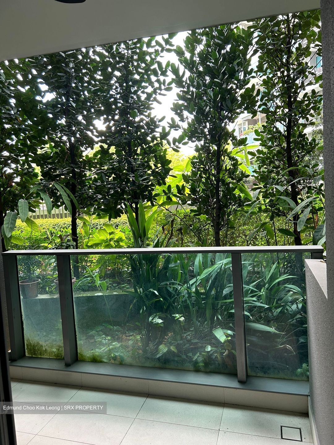 Stars Of Kovan (D19), Apartment #433625421